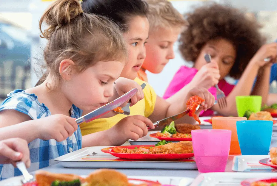 A surpreendente VERDADE sobre o comportamento alimentar e a alimentação escolar