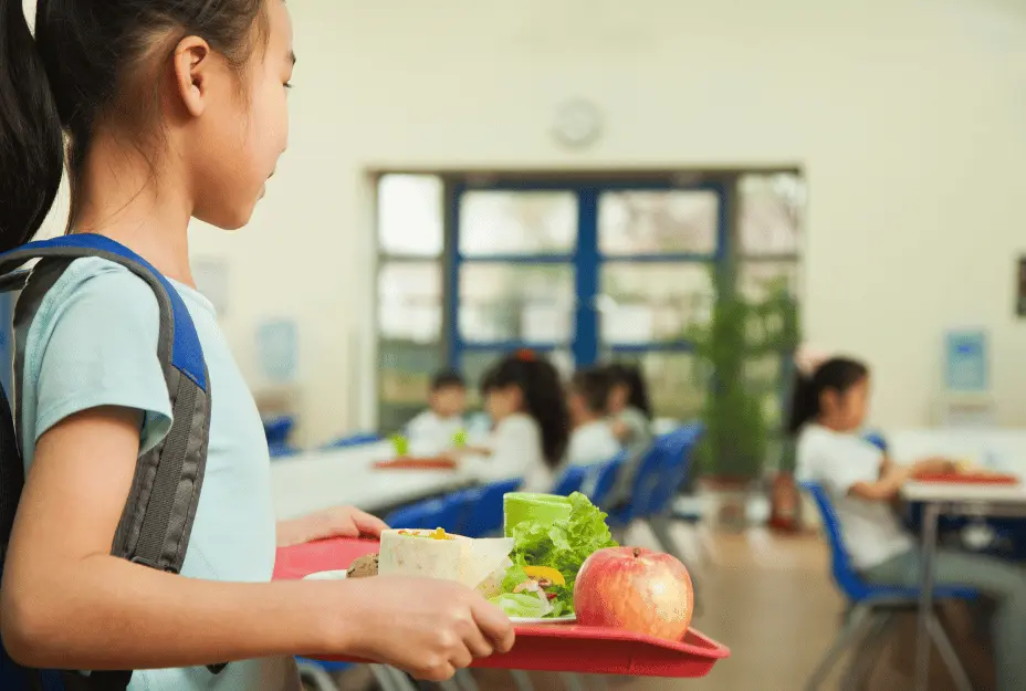 Alimentação Escolar_ um nicho em expansão!