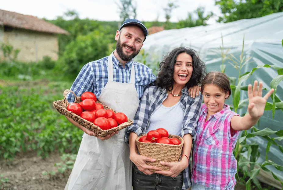 Classificação dos agricultores por região geográfica