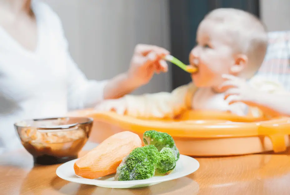 Como deve ser a alimentação dos bebês nas creches