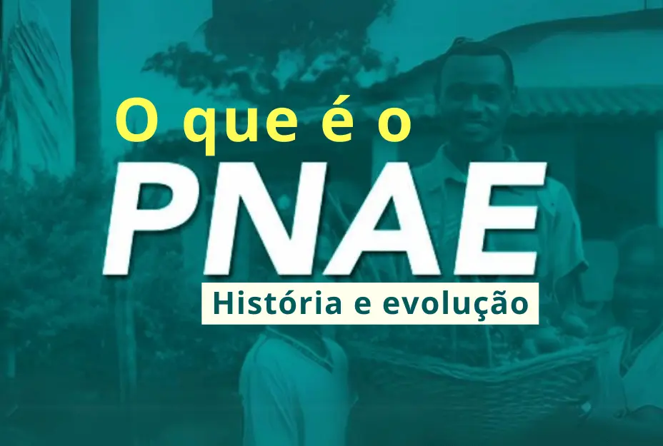 O que é o PNAE_ Tudo que você precisa saber sobre a história e evolução do programa